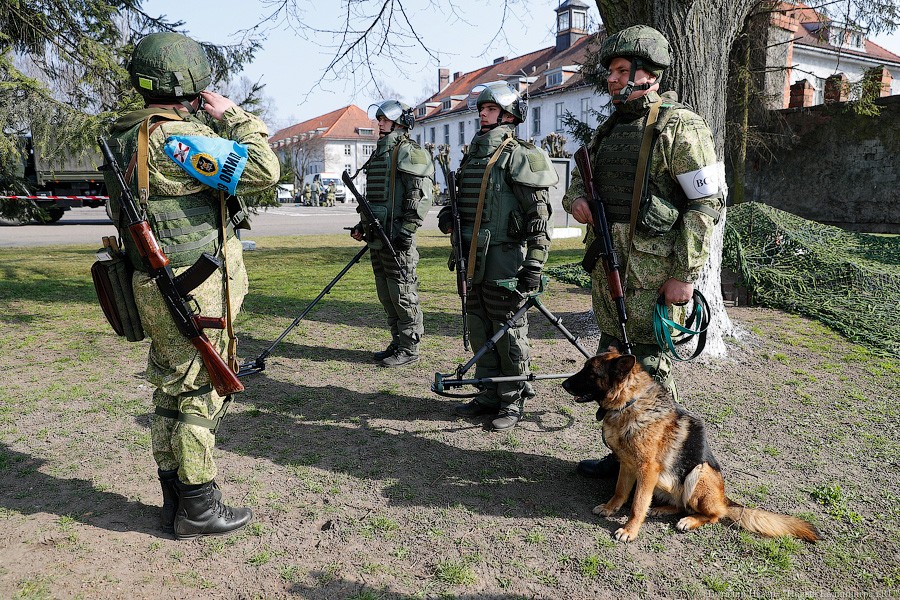 Кобра и псы-миноискатели: Балтфлот получил новое вооружение (фото)