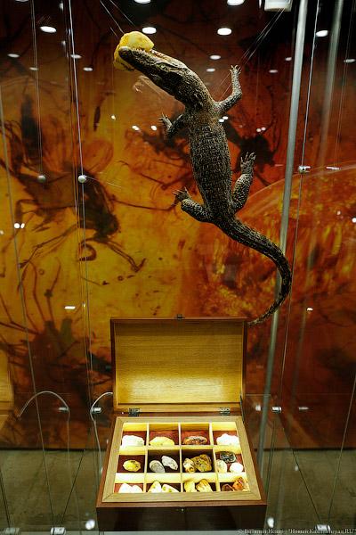 Без очередей и огненного шоу: как в Калининграде прошла «Ночь искусств»