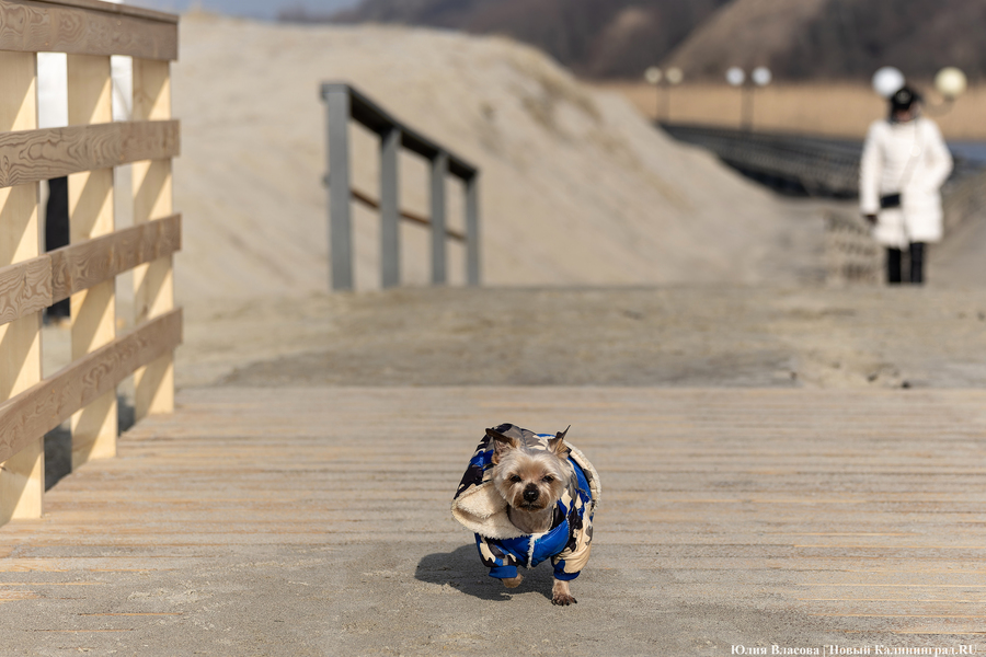 Без «Голубого флага»: как в Янтарном готовятся к пляжному сезону (фото)
