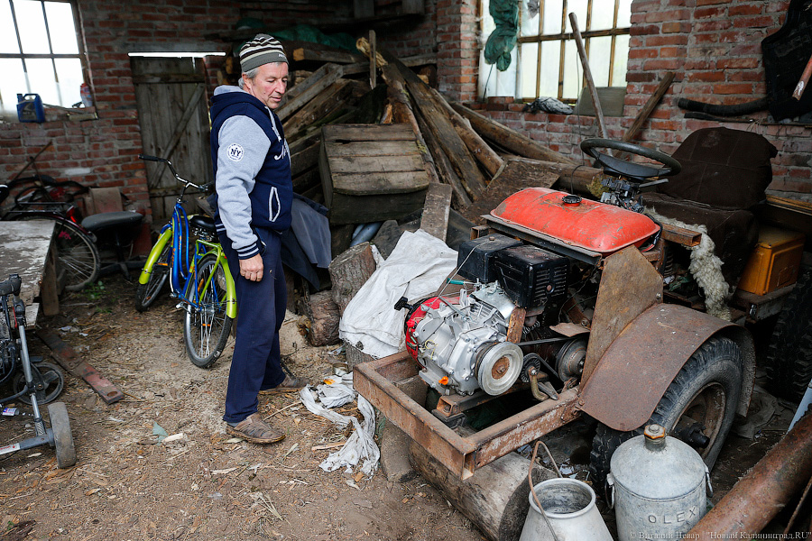 Картошка с молоком: как живут «лучшие начинающие фермеры России» из Славска