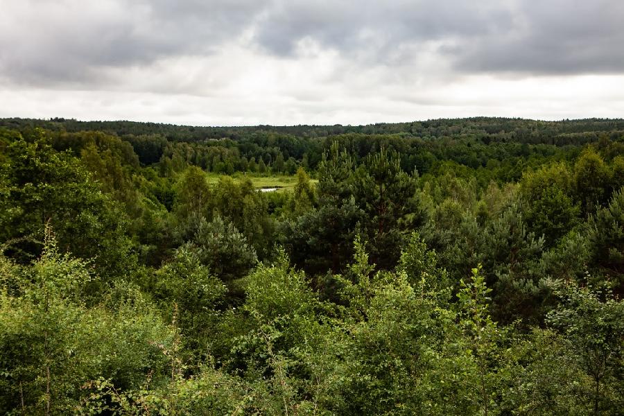 Фото: Юлия Алексеева