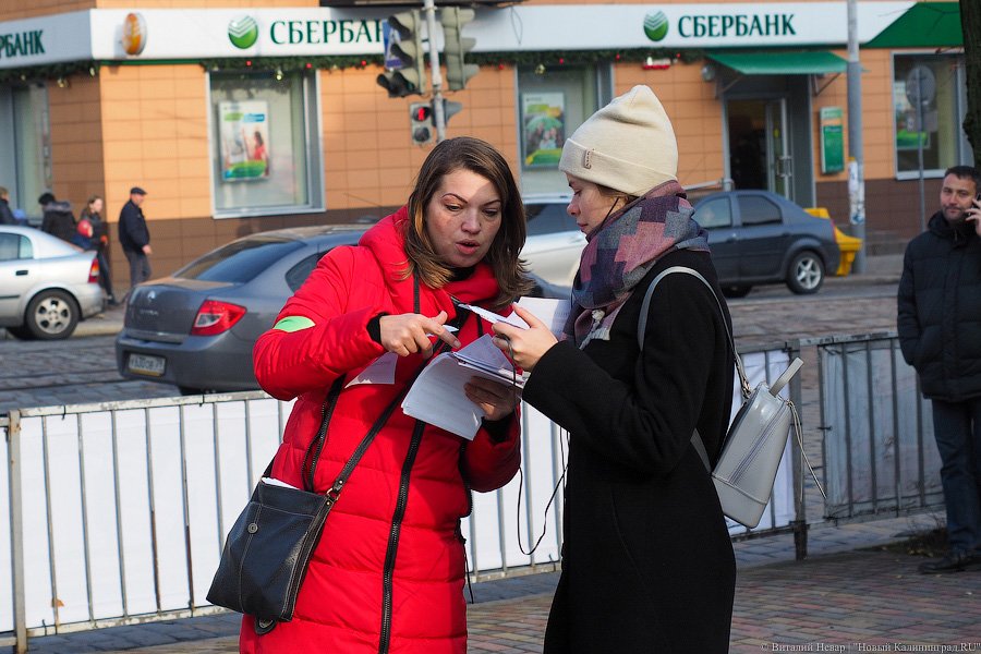 За что нас убивают?: как в Калининграде митинговали в защиту животных