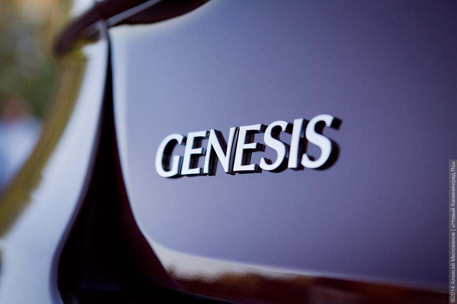 Один другого лучше: двойной тест-драйв Hyundai Genesis нового поколения