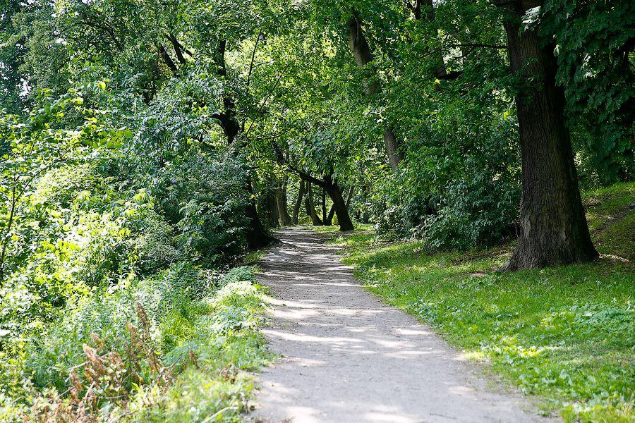 Калининградское чудо: застройщик гостиницы не вырубает, а благоустраивает 2 сквера (фото)