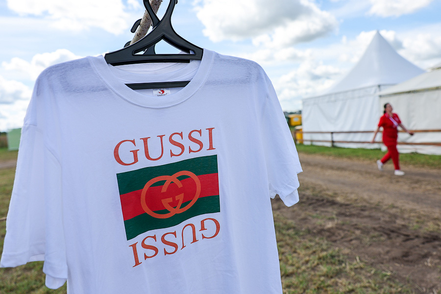 Ржится рожь, овёс овсится: в Калининградской области проходит Всероссийский день поля (фото)