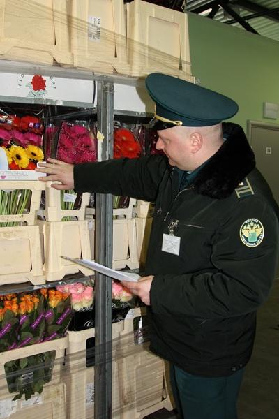 Продавцы цветов запаслись к 8 Марта полутора миллионами роз (фото)