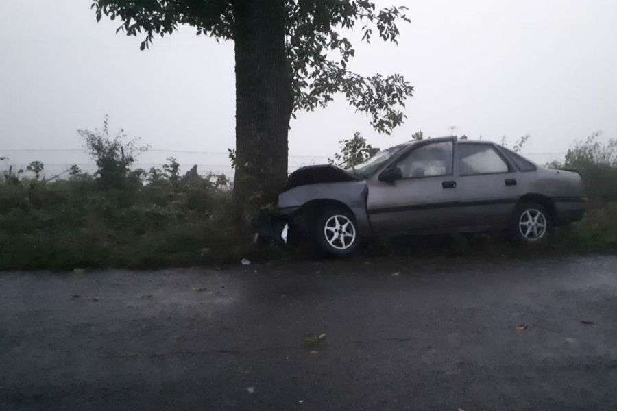 В Озерске водитель врезавшегося в дерево авто получил 3,5 года за гибель пассажира