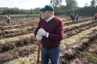 Облправительство потребовало не допустить срыва Года садовода и огородника 