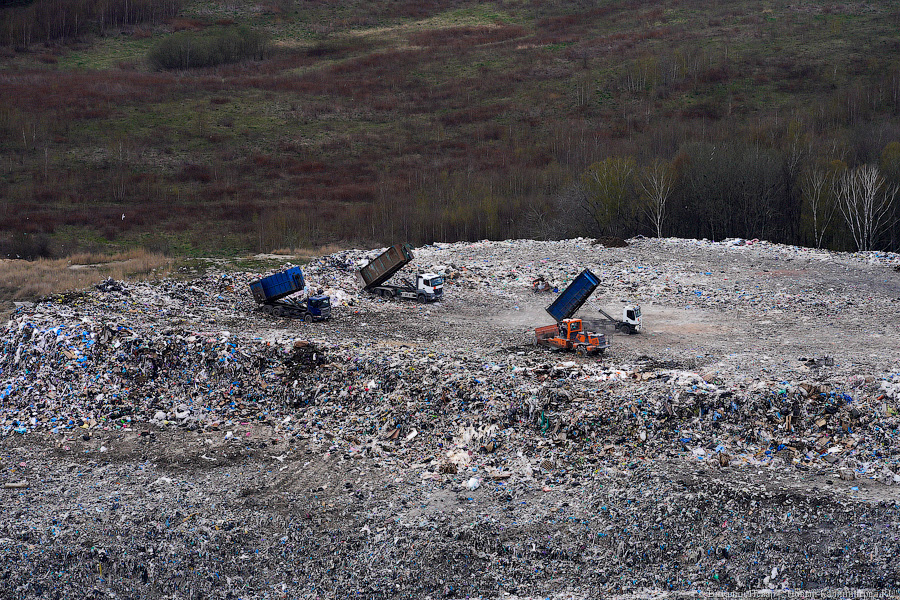 Под винтом вертолёта о чем-то поёт: воздушный парад глазами участника (фото)