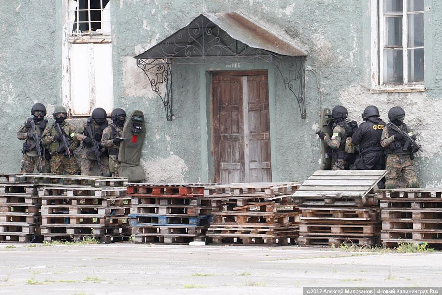 «Под флагом Башара»: фоторепортаж с антитеррористических учений