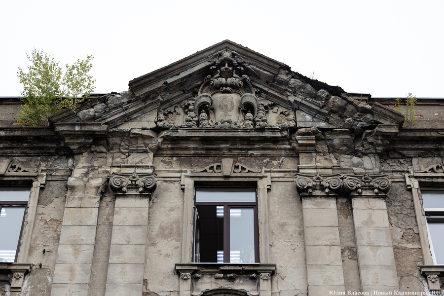 Фото: Юлия Власова / Новый Калининград