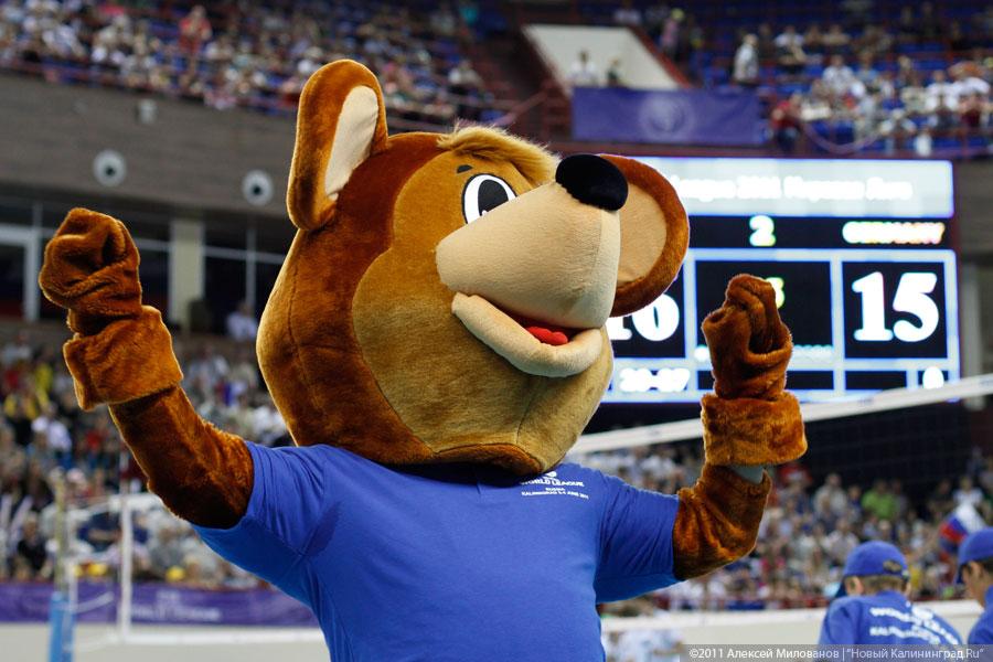 «Русские победили»: фоторепортаж «Нового Калининграда.Ru»