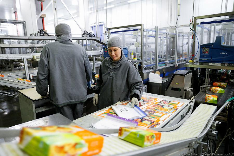 Галопом по котлетам: главе Минсельхоза РФ показали два завода в Калининграде