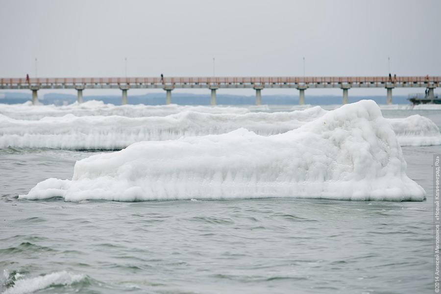 Недоморозило: холодам не удалось сковать льдом берег Балтийского моря