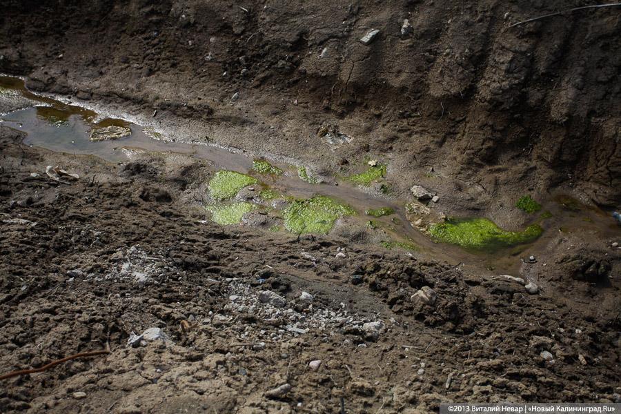 «Столица провинции»: жизнь малой родины губернатора Цуканова (+фото)