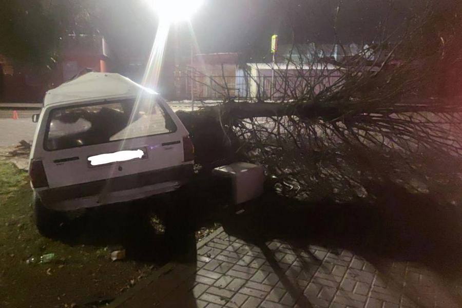 В Полесске пьяный водитель без прав врезался в дерево (фото)