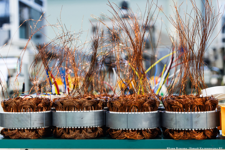 Автокомпоненты и электромобили: как на «Автоторе» новый кластер запускали (фото)