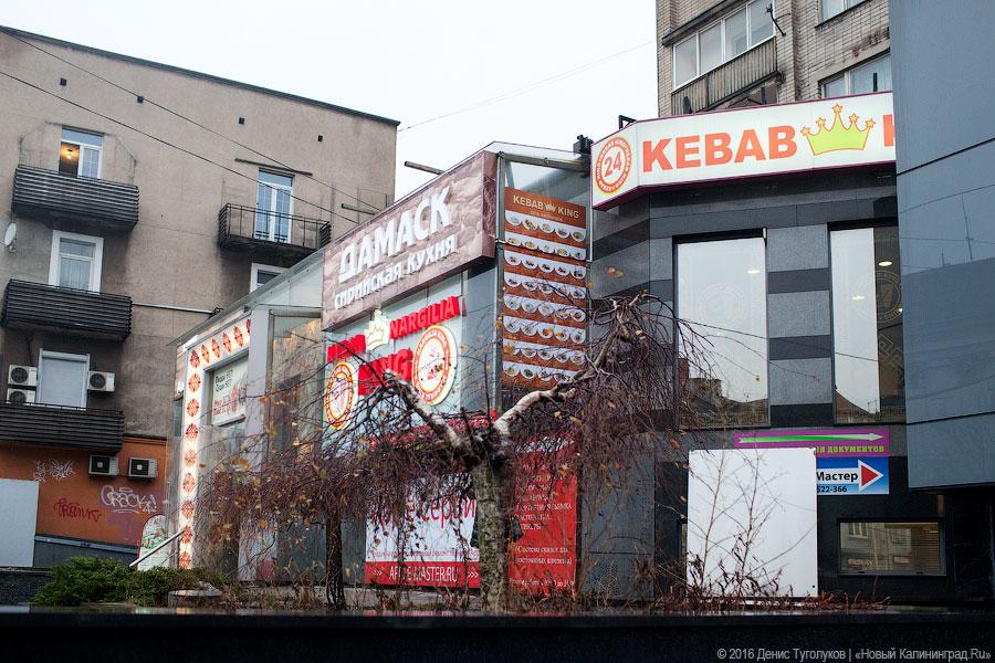 Занимательная шаурмистика: что такое кафе сирийской кухни «Дамаск»