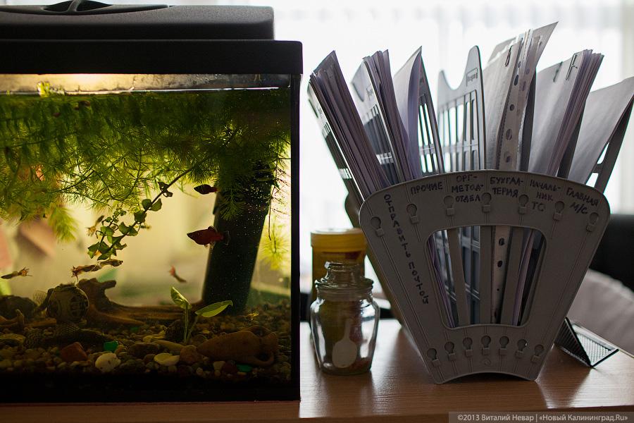 «Станция капель добра»: станция переливания крови в новых реалиях