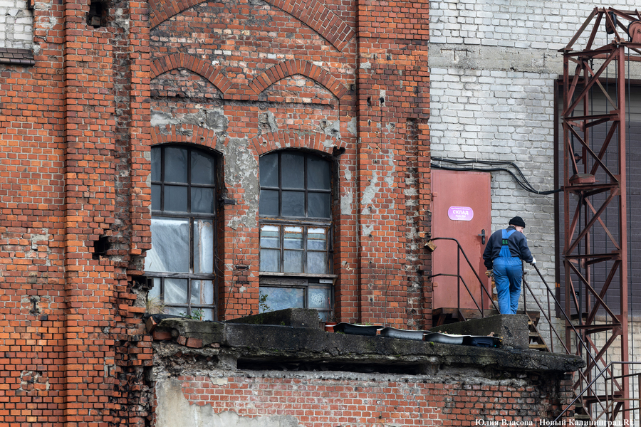 Постапокалиптический пейзаж: что происходит с территорией бывшего ЦБЗ-1 (фото)
