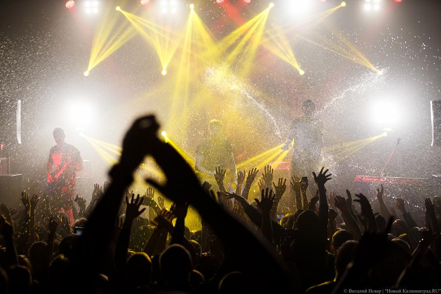 Фото — Виталий Невар, «Новый Калининград.Ru»