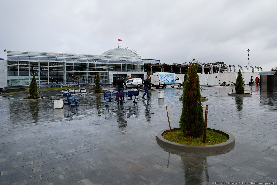 «Победа» планирует запустить авиарейсы из Калининграда в Петербург