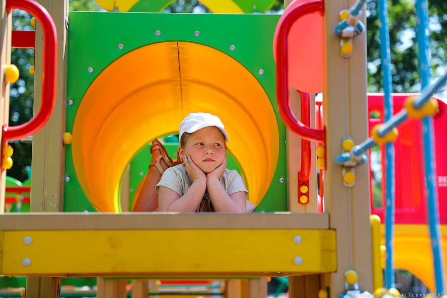 Все мы разные, все мы равные: в Калининграде открыли инклюзивный парк (фото)
