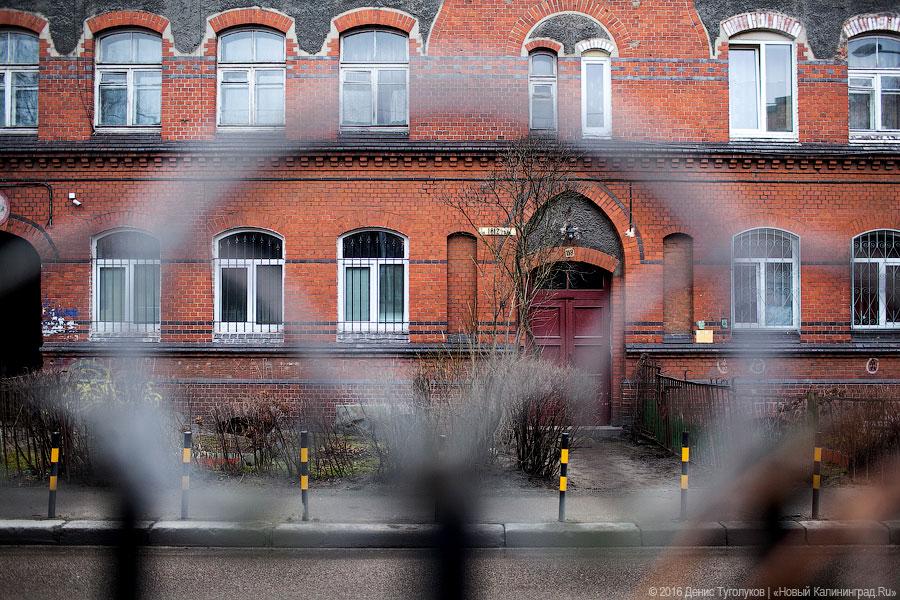 Кёнигсберг в Калининграде: как проходят «народные» экскурсии по улицам города