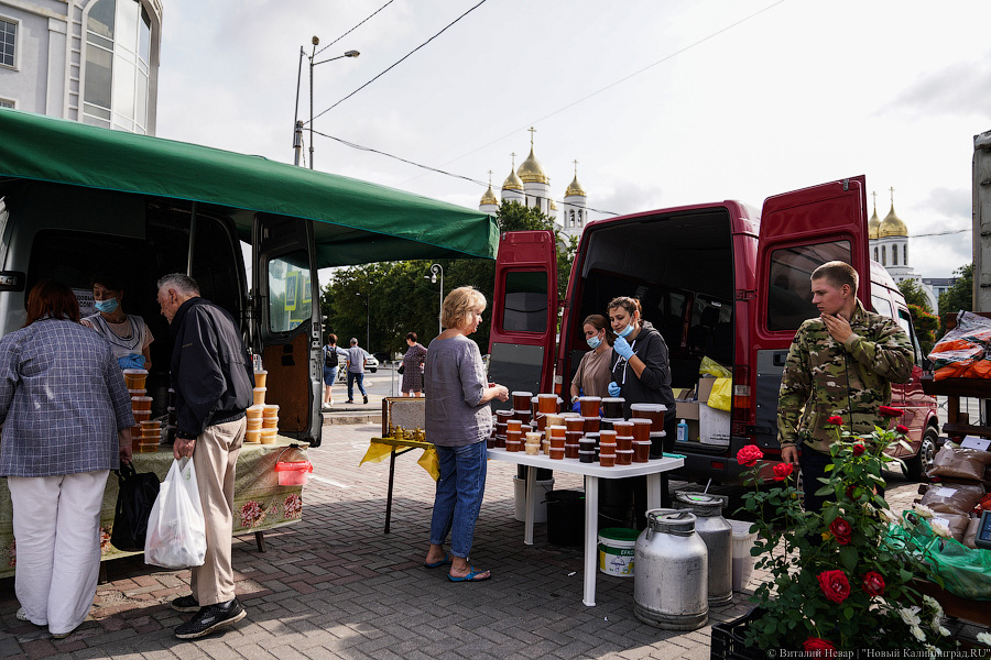 Базар-вокзал: как проходит сельхозярмарка на площади Победы в Калининграде