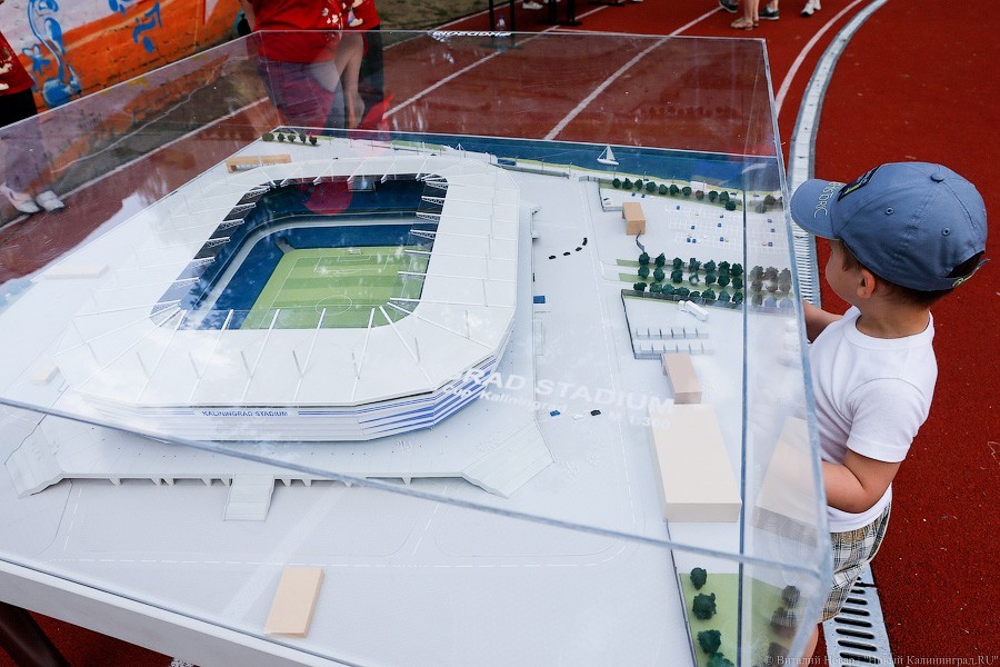 Правительство области выделяет 11,7 млн на одежду для волонтёров ЧМ-2018 (фото)