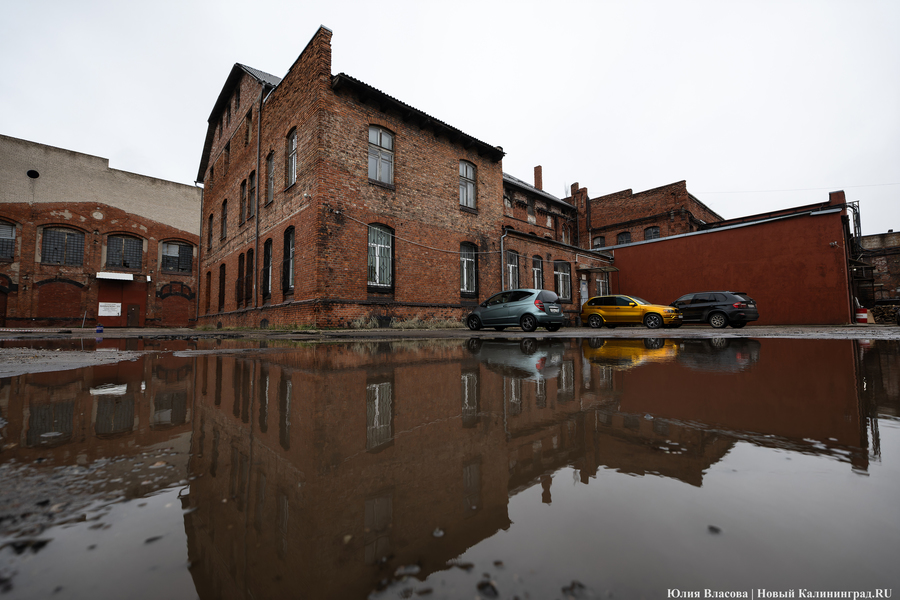 Постапокалиптический пейзаж: что происходит с территорией бывшего ЦБЗ-1 (фото)