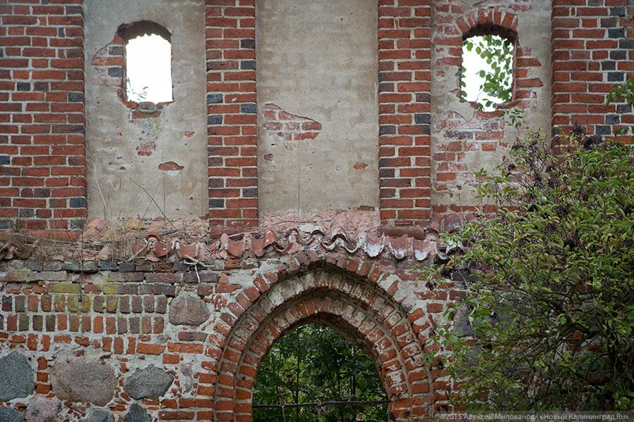 Исчезая в зелени: руины кирхи XIV века в поселке Яблоневка Гурьевского района