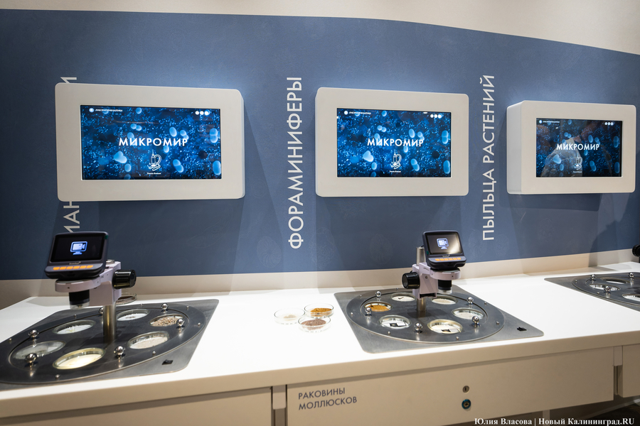 Музей-корабль, музей-планета: экскурсия по корпусу-шару «Планета Океан»