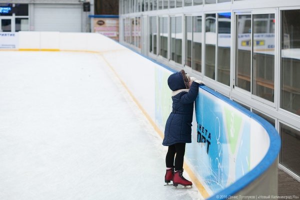 В Калининградской области хотят построить каток с искусственным льдом