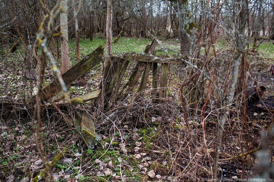 «Тут развалили все и на кирпич продали»: поселок Веселовка после шумихи