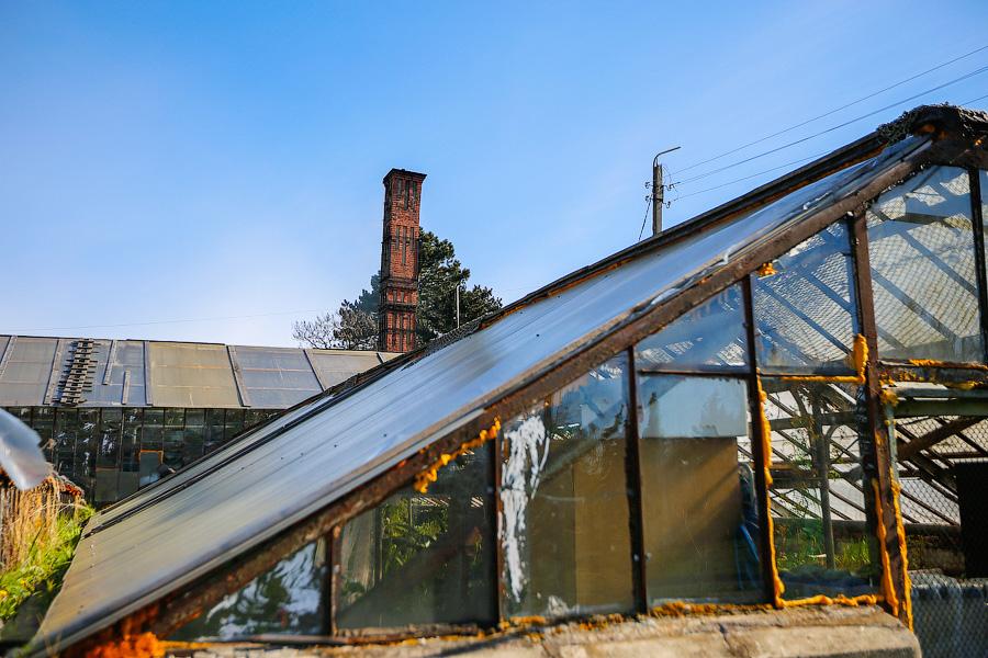 Экзотика в руинах: аварийные оранжереи Ботанического сада и их будущее