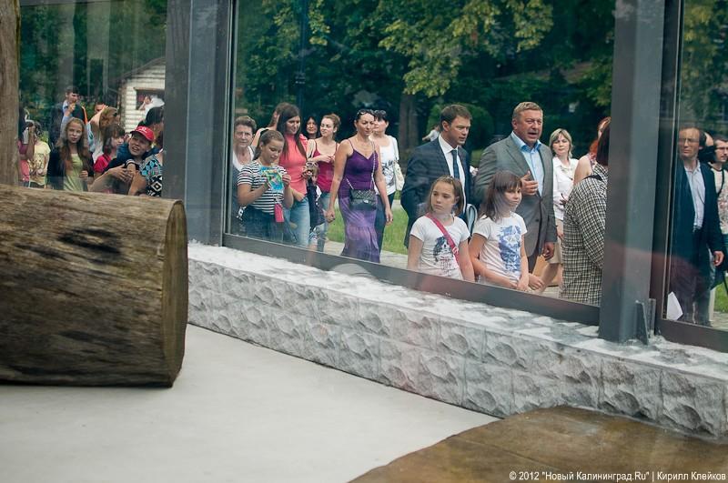 «Обезьянье счастье»: фоторепортаж «Нового Калининграда.Ru»