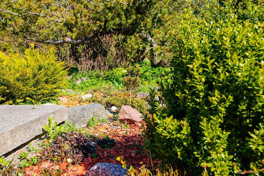 Пастораль ручной работы: весенний Ботанический сад