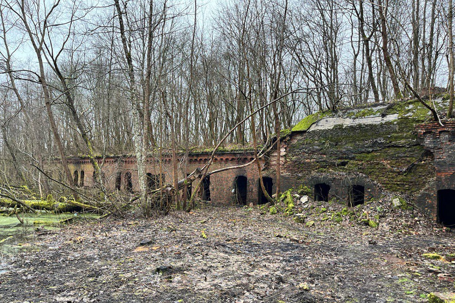 Суд взыскал компенсацию за травму ребенка, полученную на территории форта «Канитц»