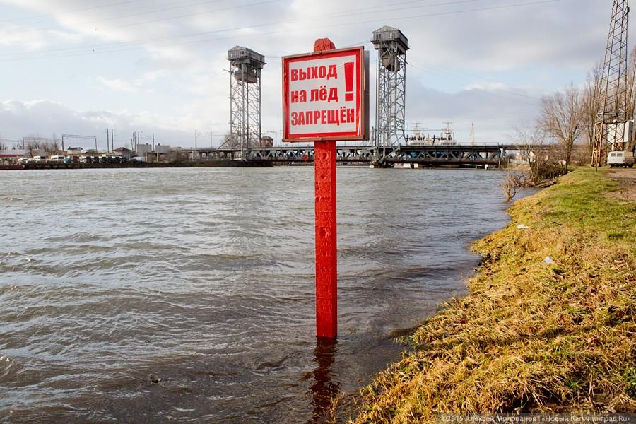 Летающий цирк: последствия урагана в Калининграде (фото)