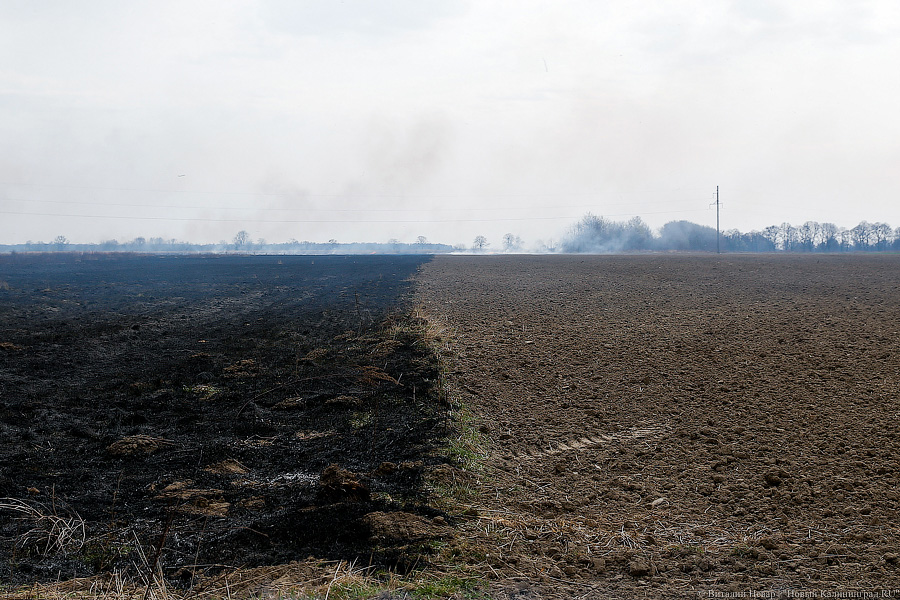 Алиханов призвал искать неиспользуемые сельхозучастки за счет данных МЧС о палах травы