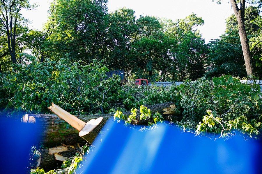 Все законно: власти Калининграда проиграли суд за сквер на улице Горького у прокуратуры