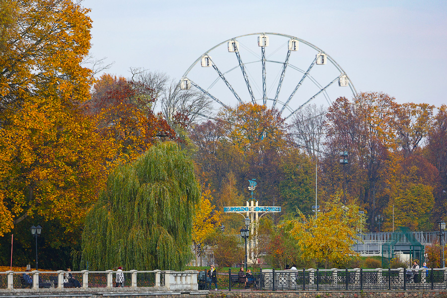 Время тыквы: как в Калининграде проходит необычная осень (фото)