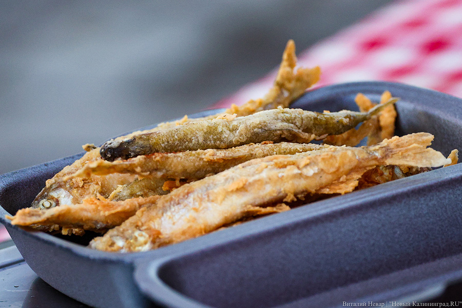 Шашлычок под медлячок: на острове Канта стартовала «Неделя еды и музыки» (фото)