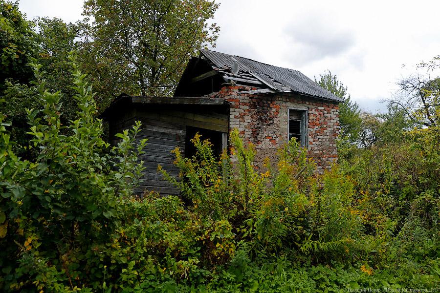 Фото — Виталий Невар, «Новый Калининград.Ru»