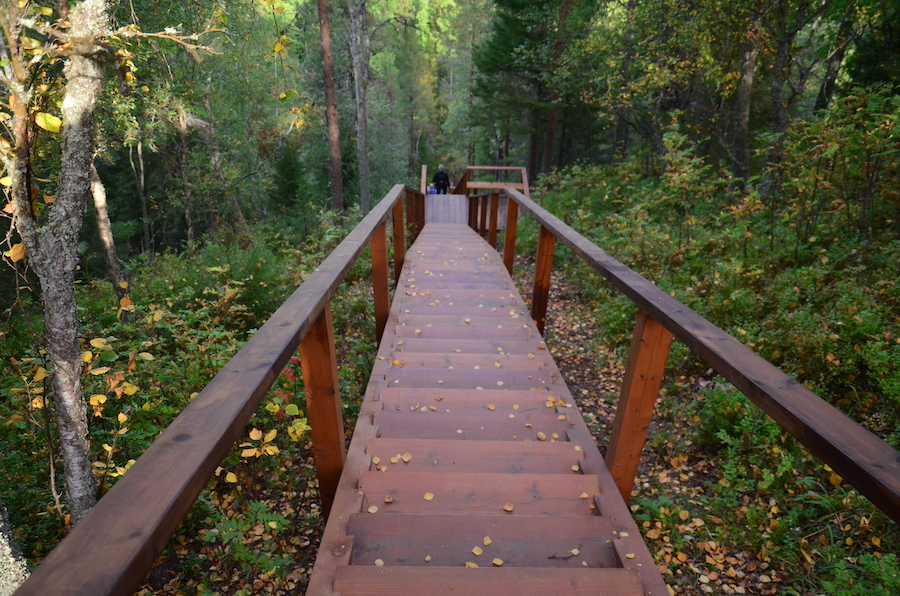 Русский север, русский дух и Белое море: для чего нужно ехать на Соловки (фото)
