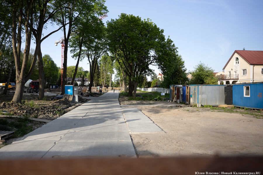 Фото: Юлия Власова / Новый Калининград