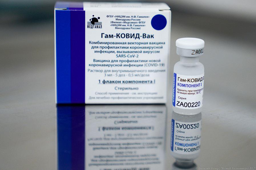 ВОЗ приостановила процесс одобрения российской вакцины «Спутник V»