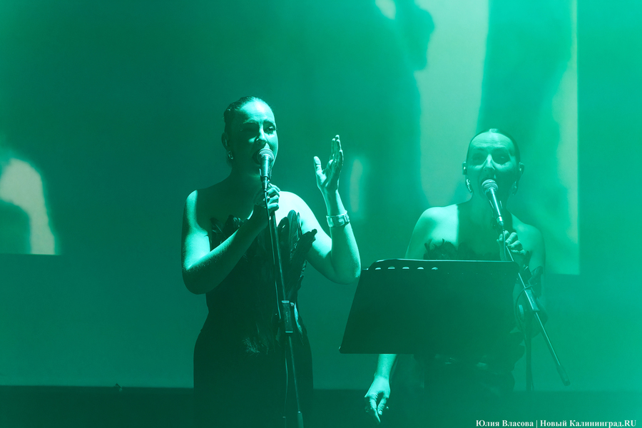 Как прошел традиционный съезд фанатов Depeche Mode на «Вагонке» (фото)