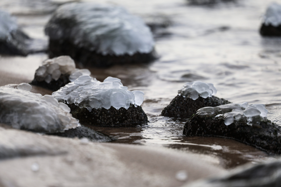 Мороз и море: как стихия украсила променад в Зеленоградске (фото)